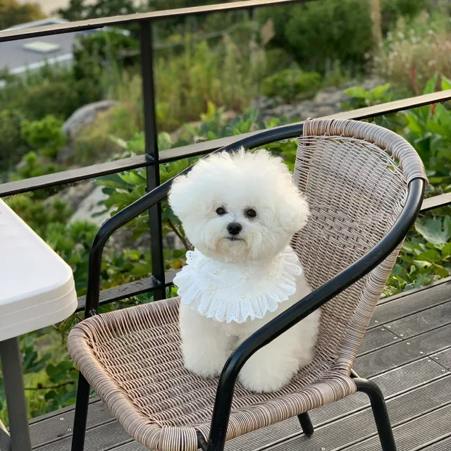 통통