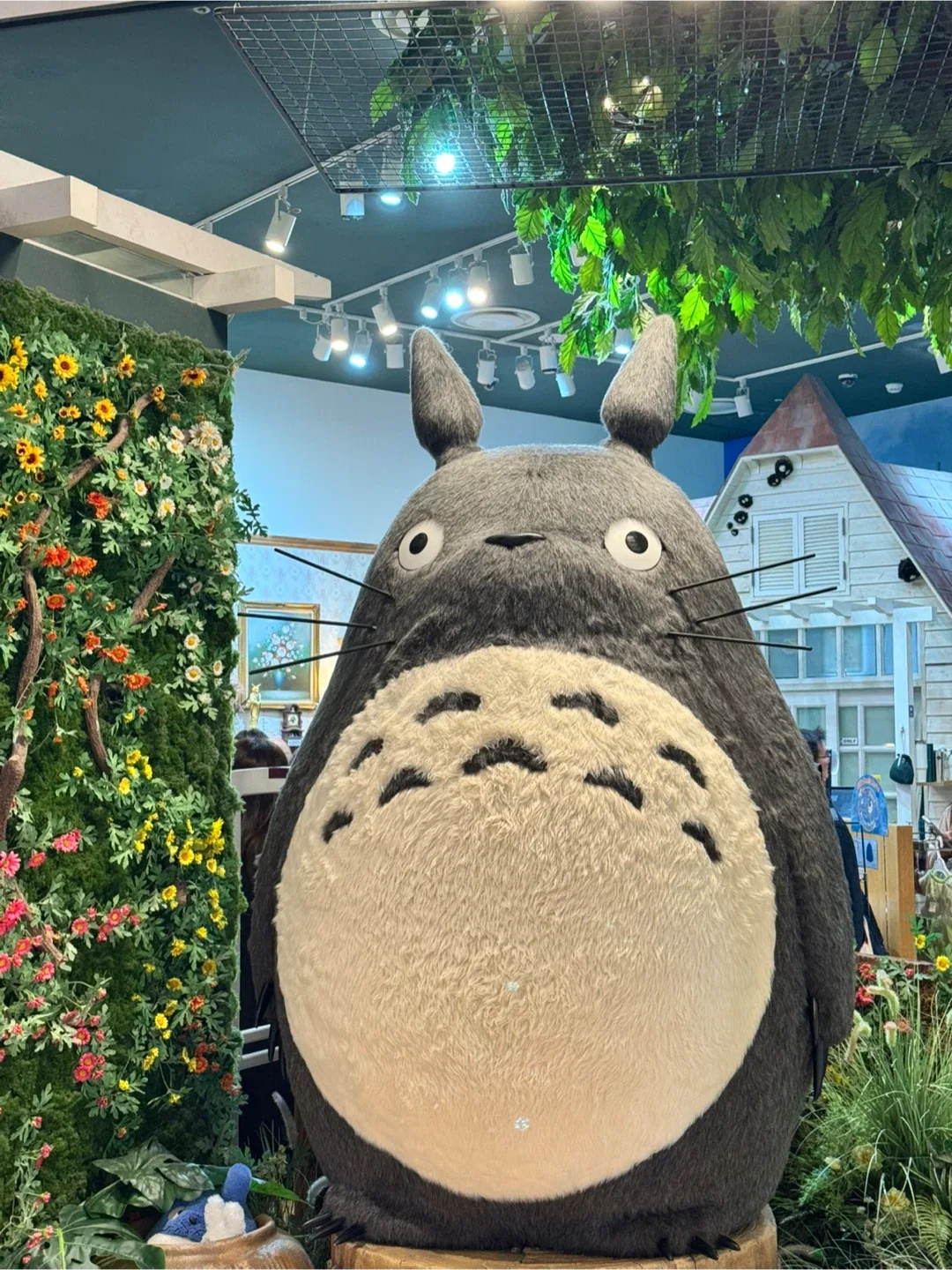 또야