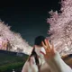뇽뇽