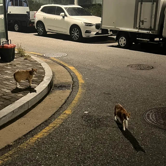 산랑
