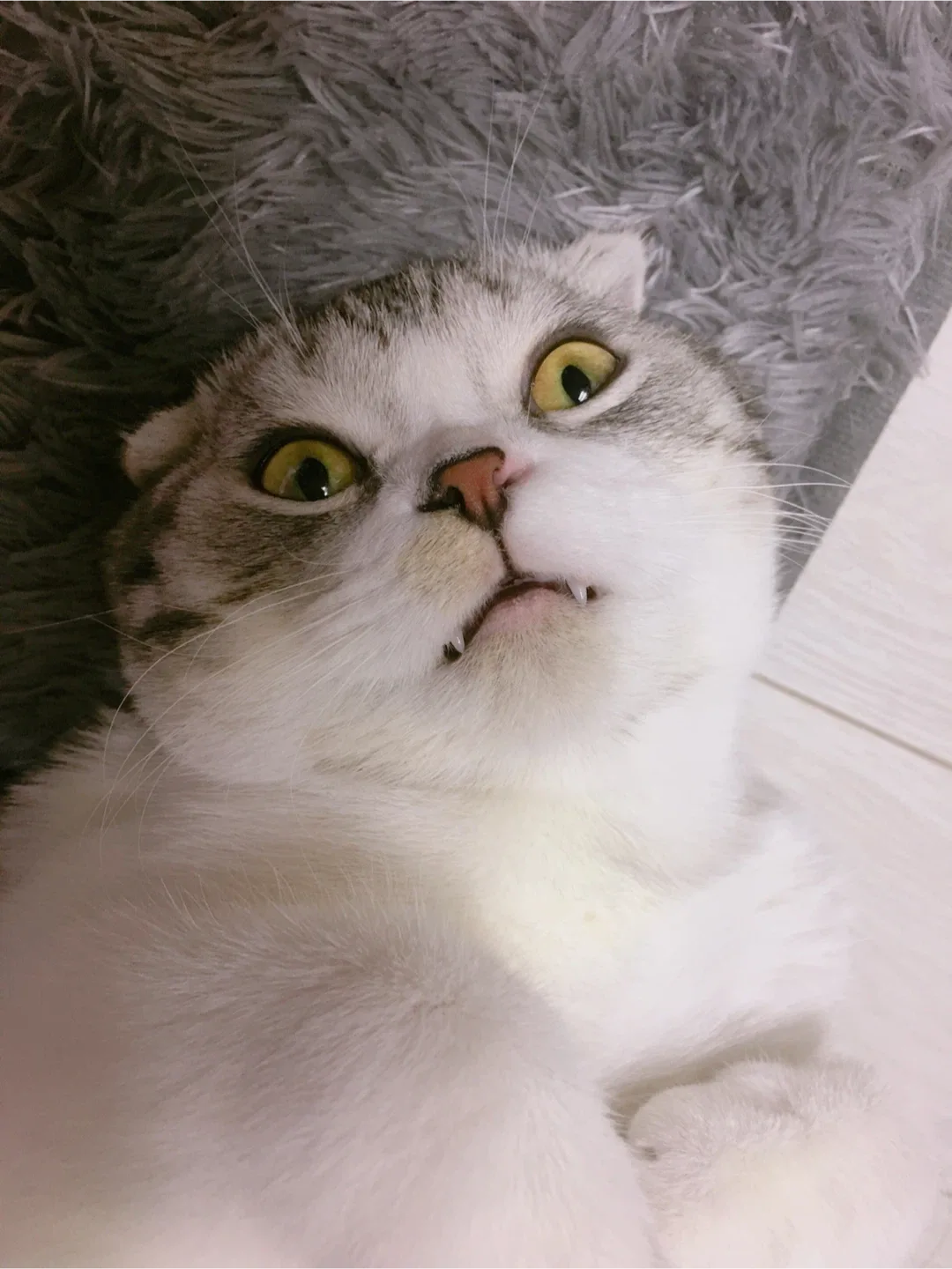 동석이누나