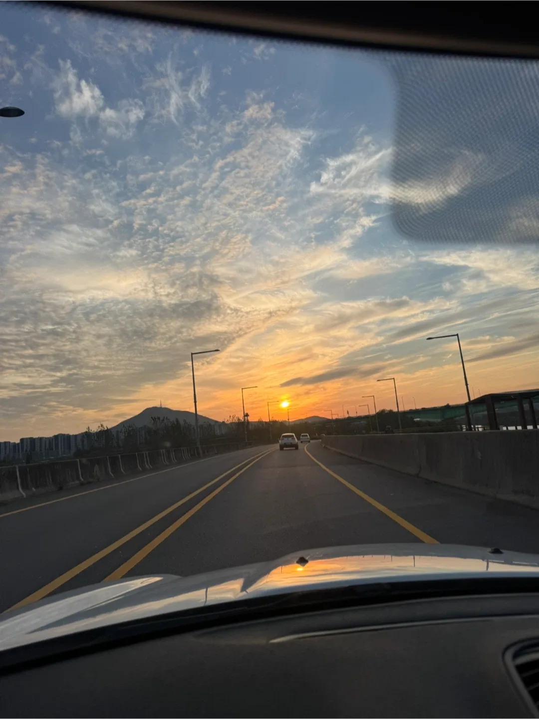 진도8890