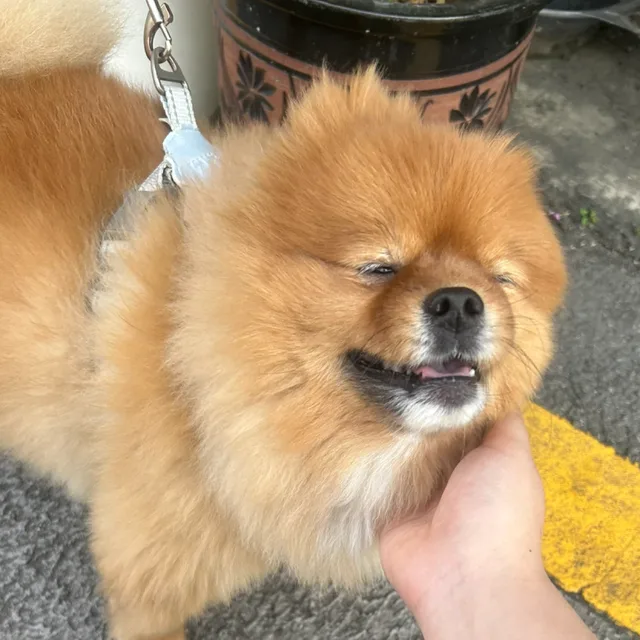 이름