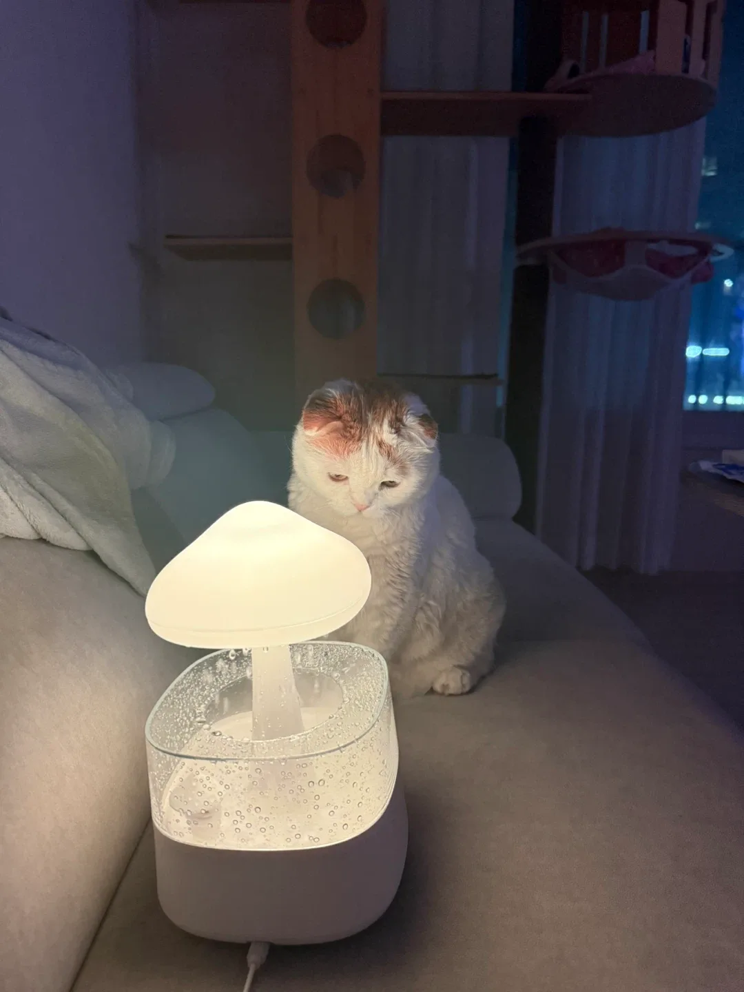 뽀용엄마