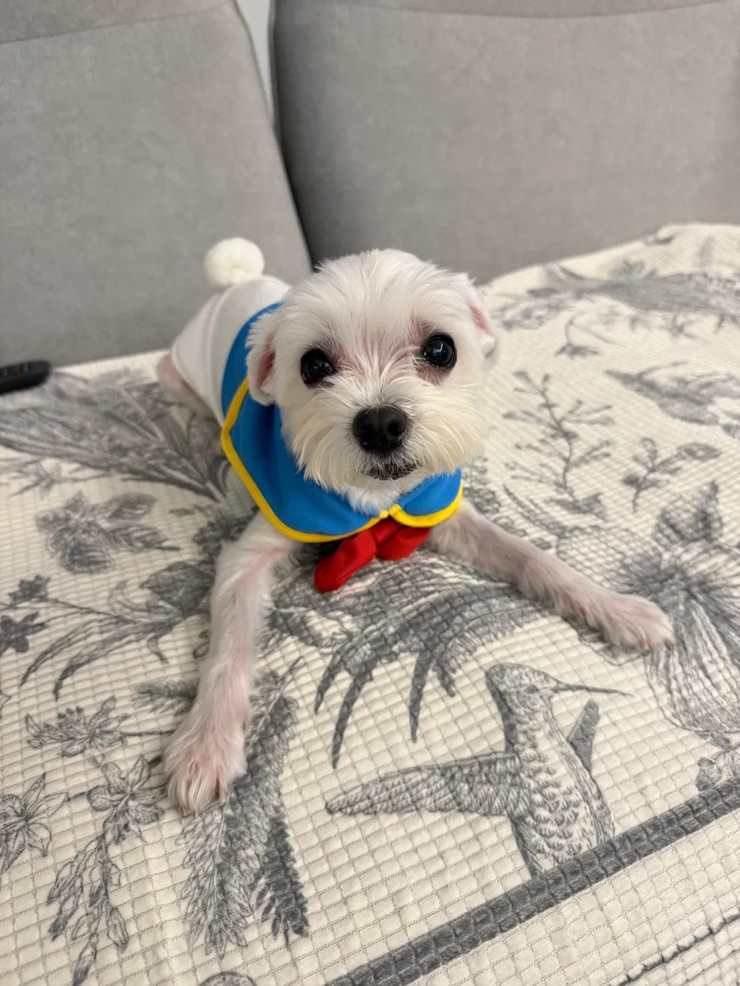 뿌니뿌니