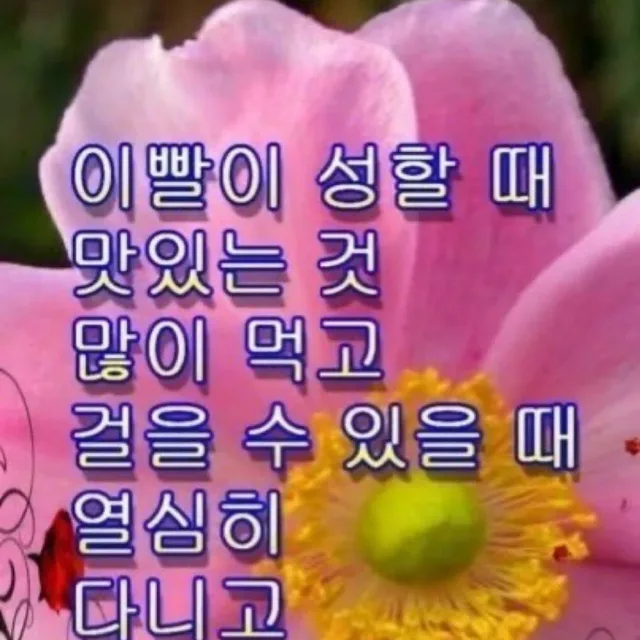 당근쩝쩝