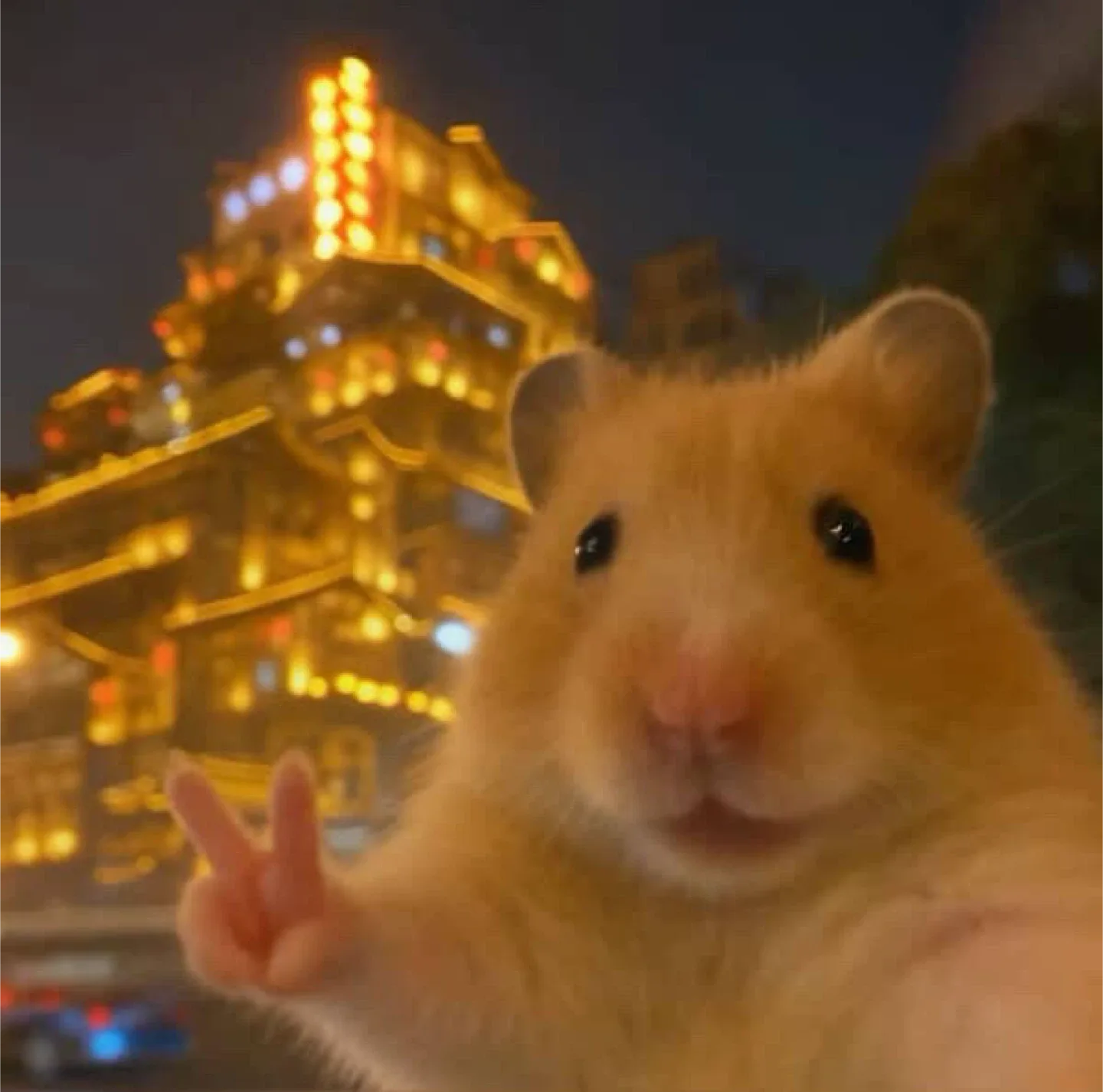 무얏호