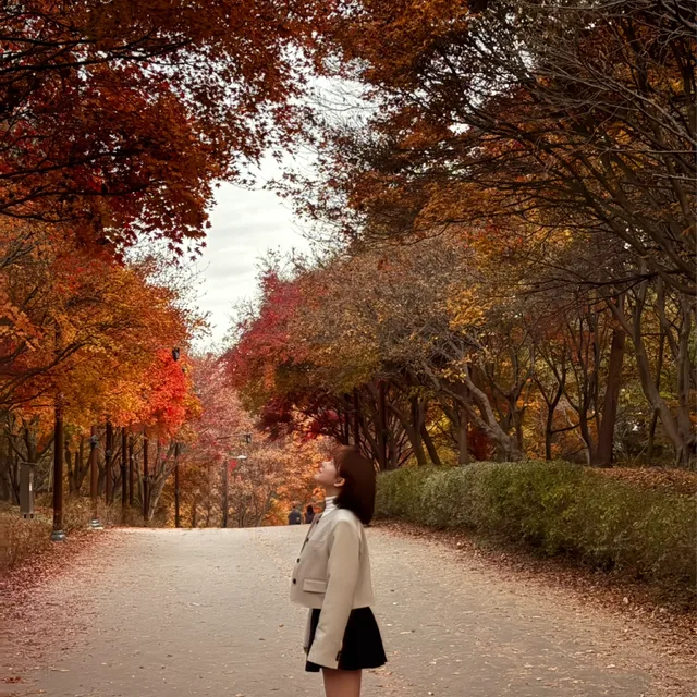 뽈그랑삐