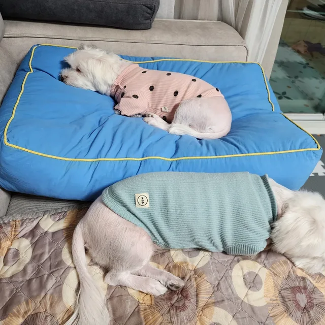 김치만두
