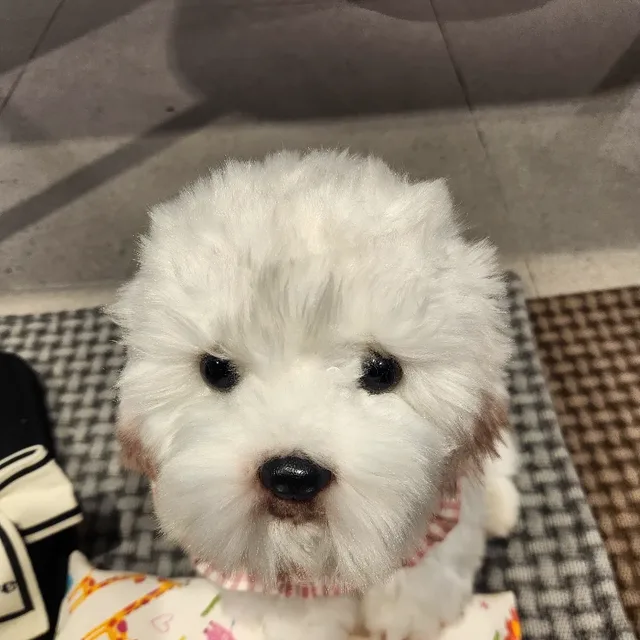 울기없기