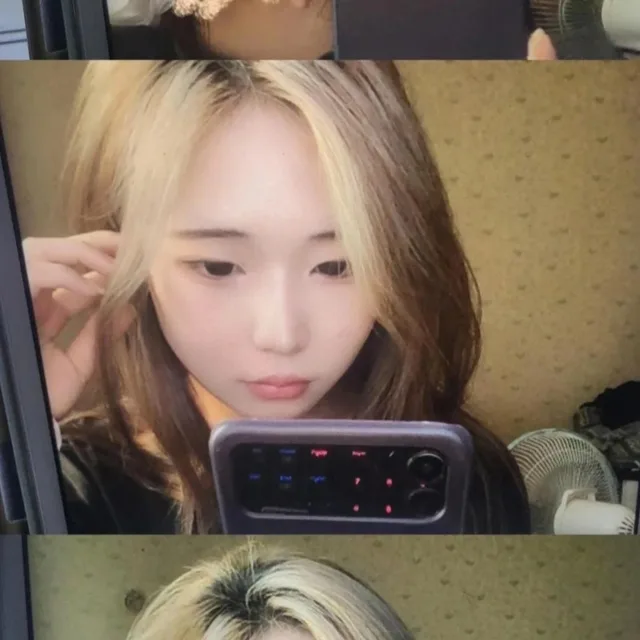 옥수수
