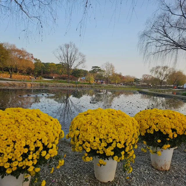 스산댁