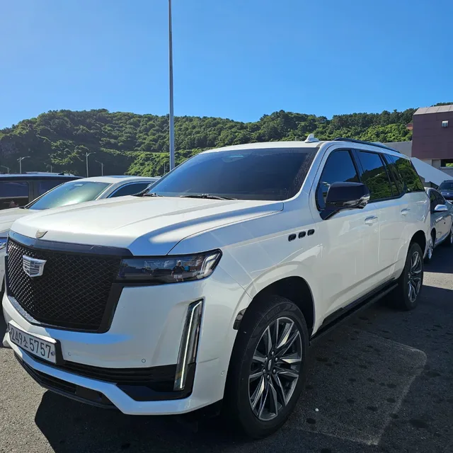 제주사나우