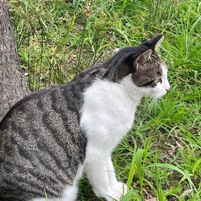 profile