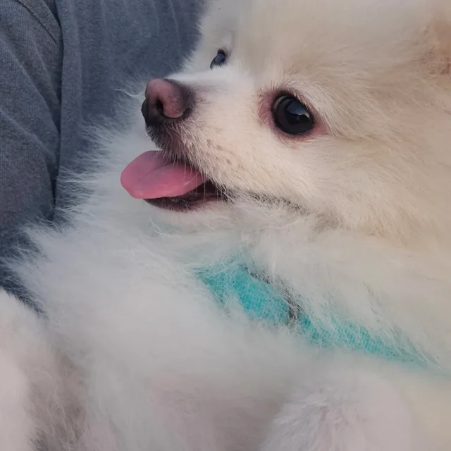 수박사랑