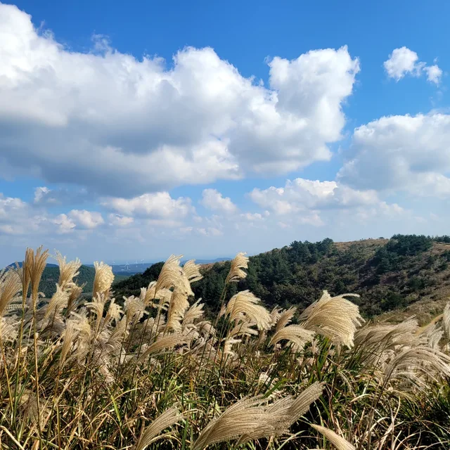 힘내자
