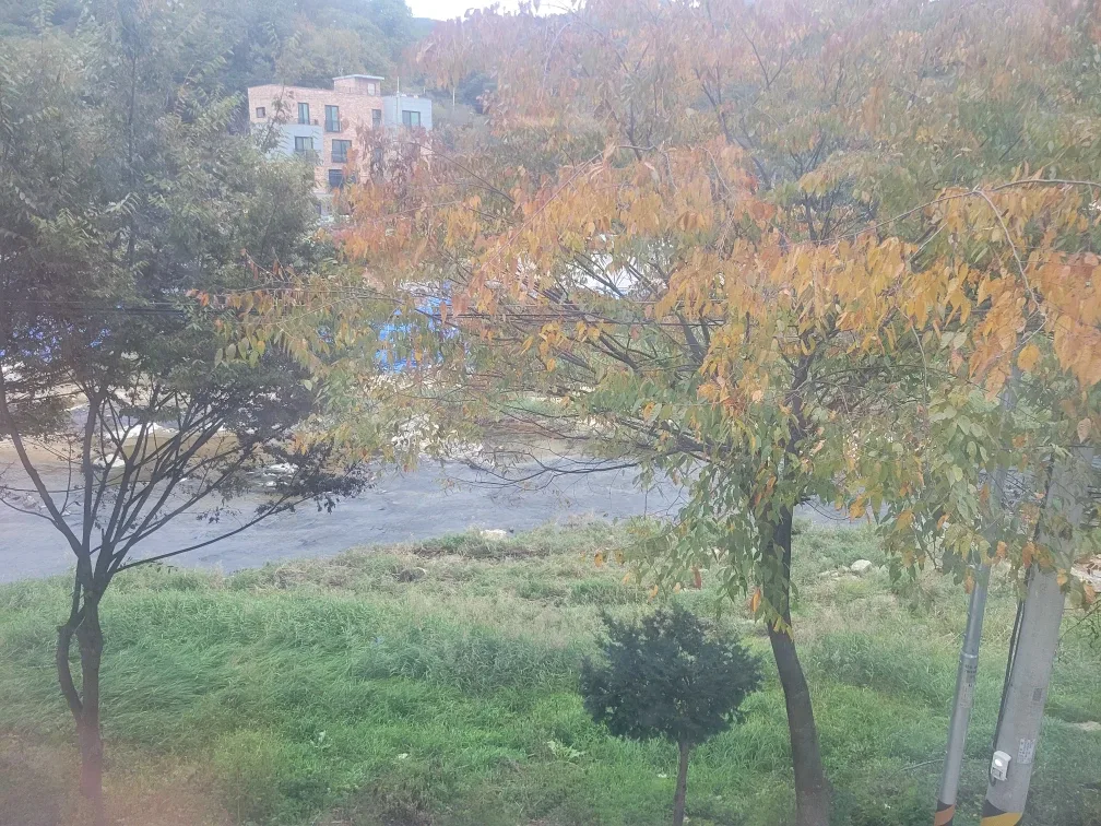 루팡청당