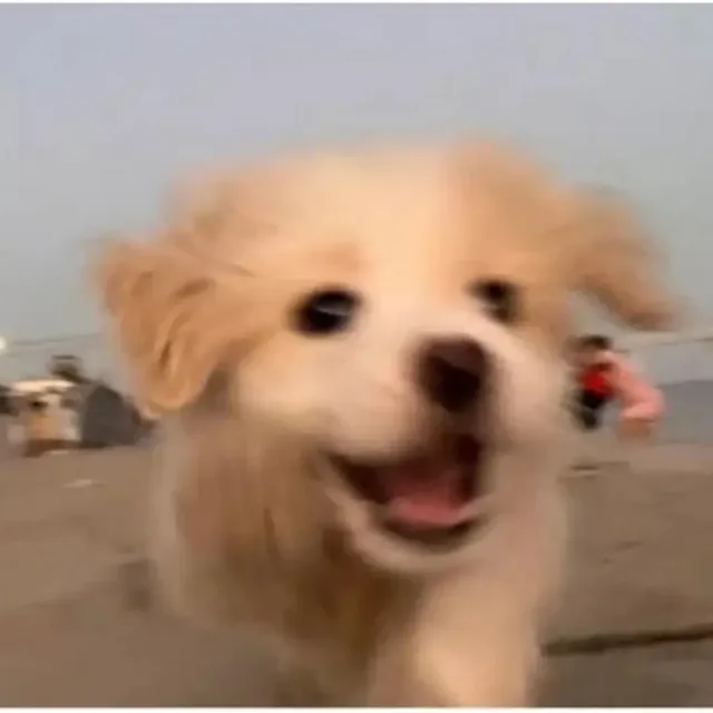 신나는세상