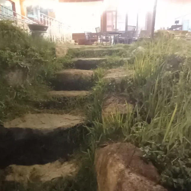 소풍