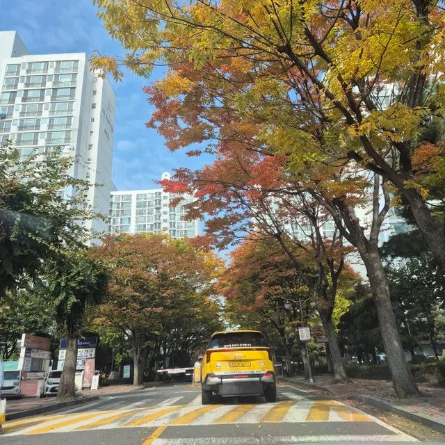 타키온