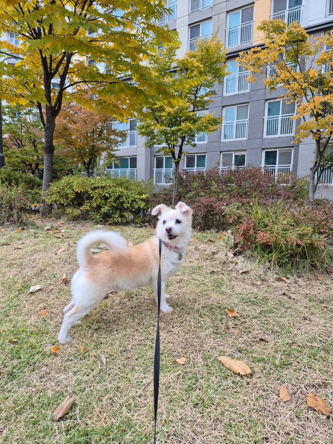 옹언니