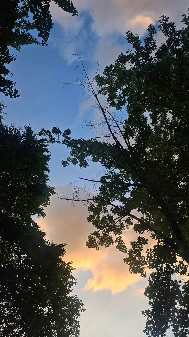 깻잎
