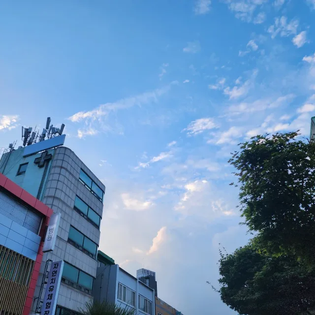 황정연