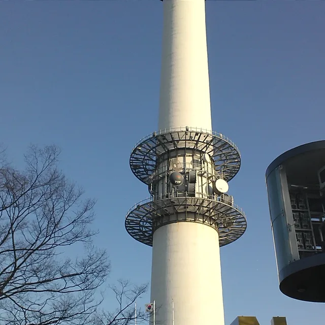 웰시코기