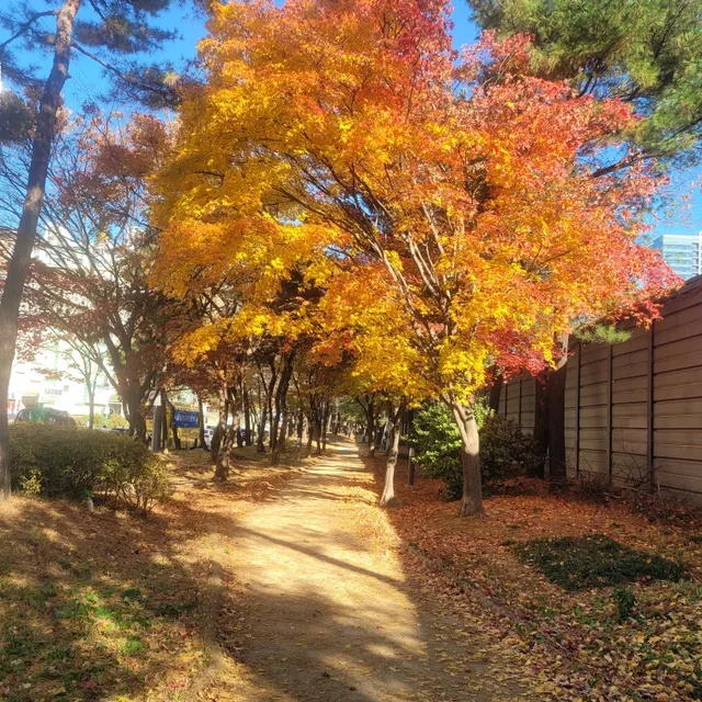 상수리