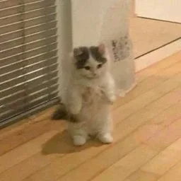 새벽