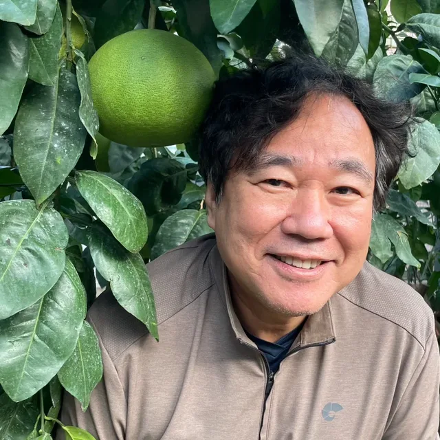 여행