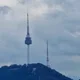 sh컴퍼니