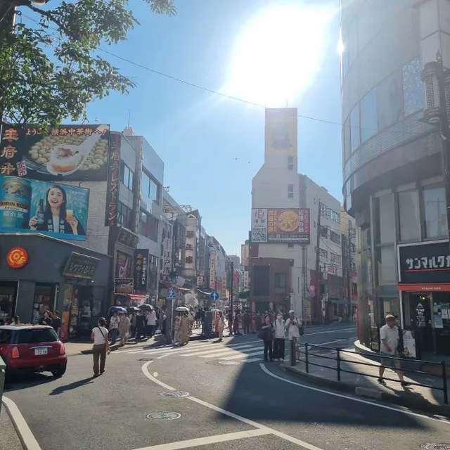 플리에오