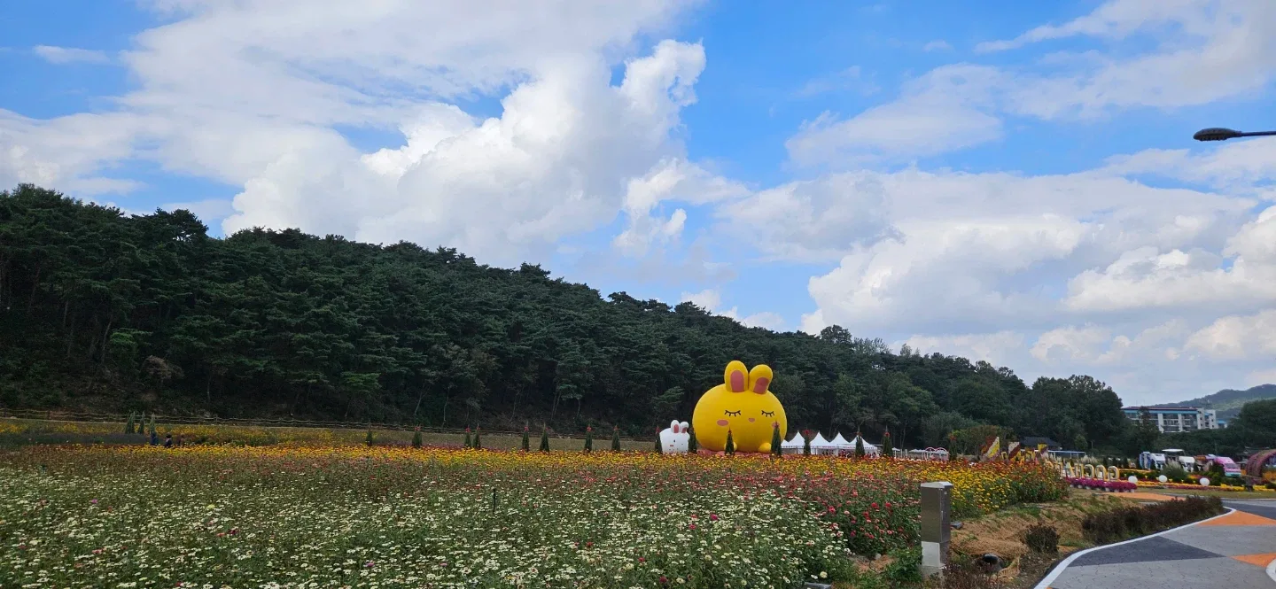 꿈꾸는나무