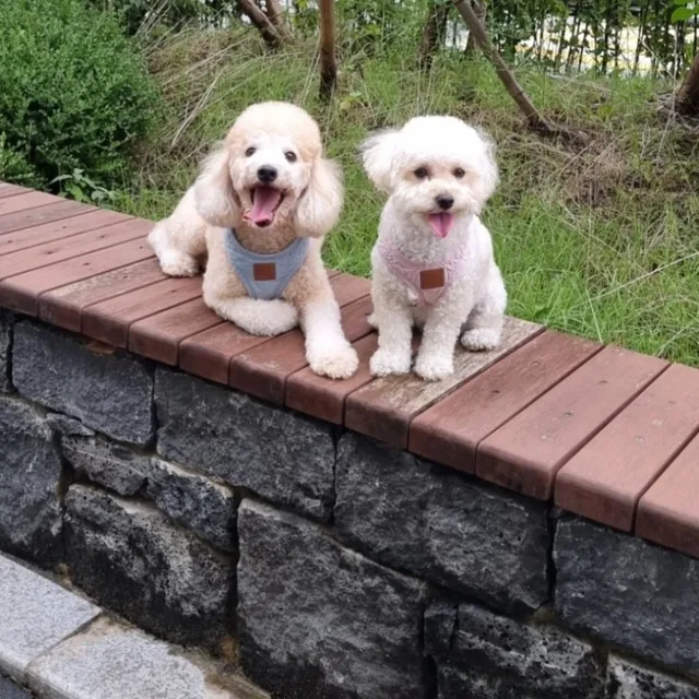 나무