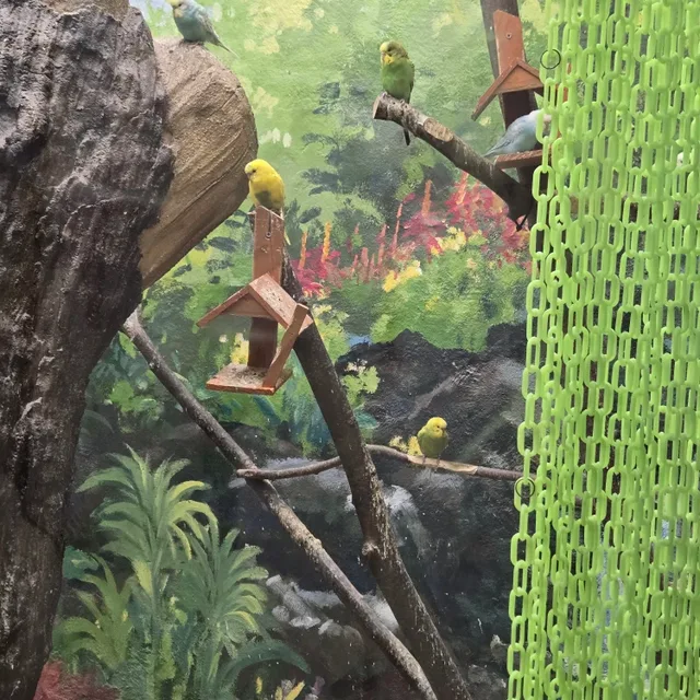 profile