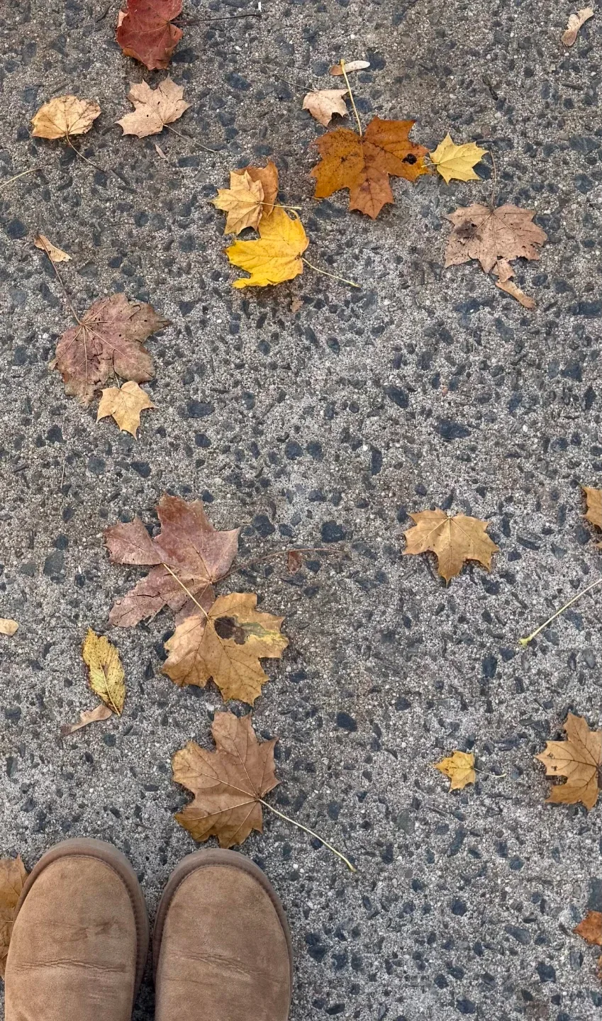 라포