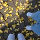 용용
