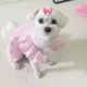설탕이
