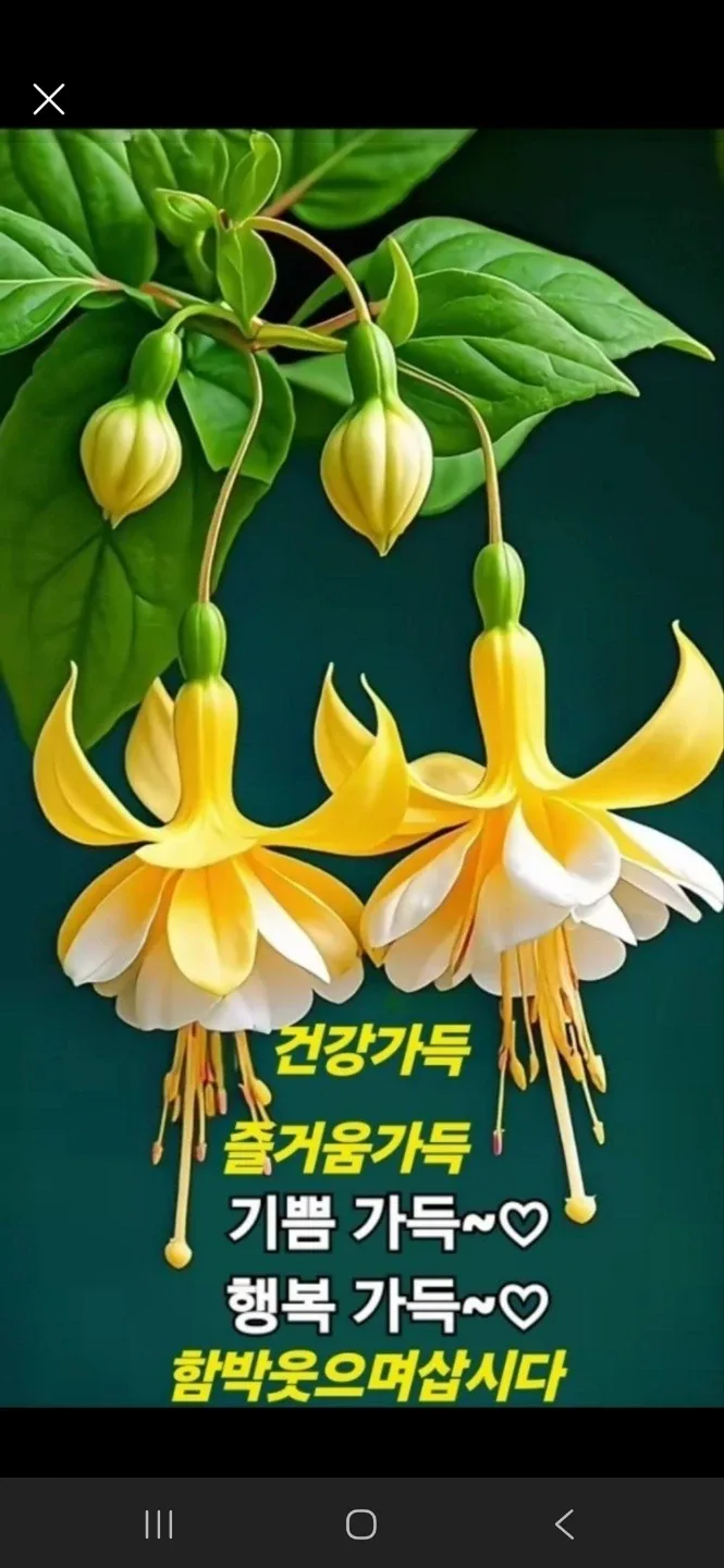 울타리