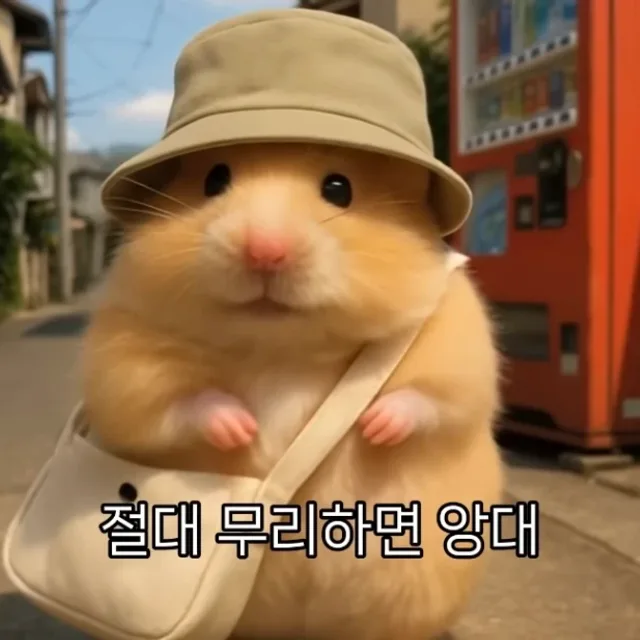 지섭