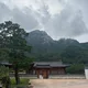 화이팅