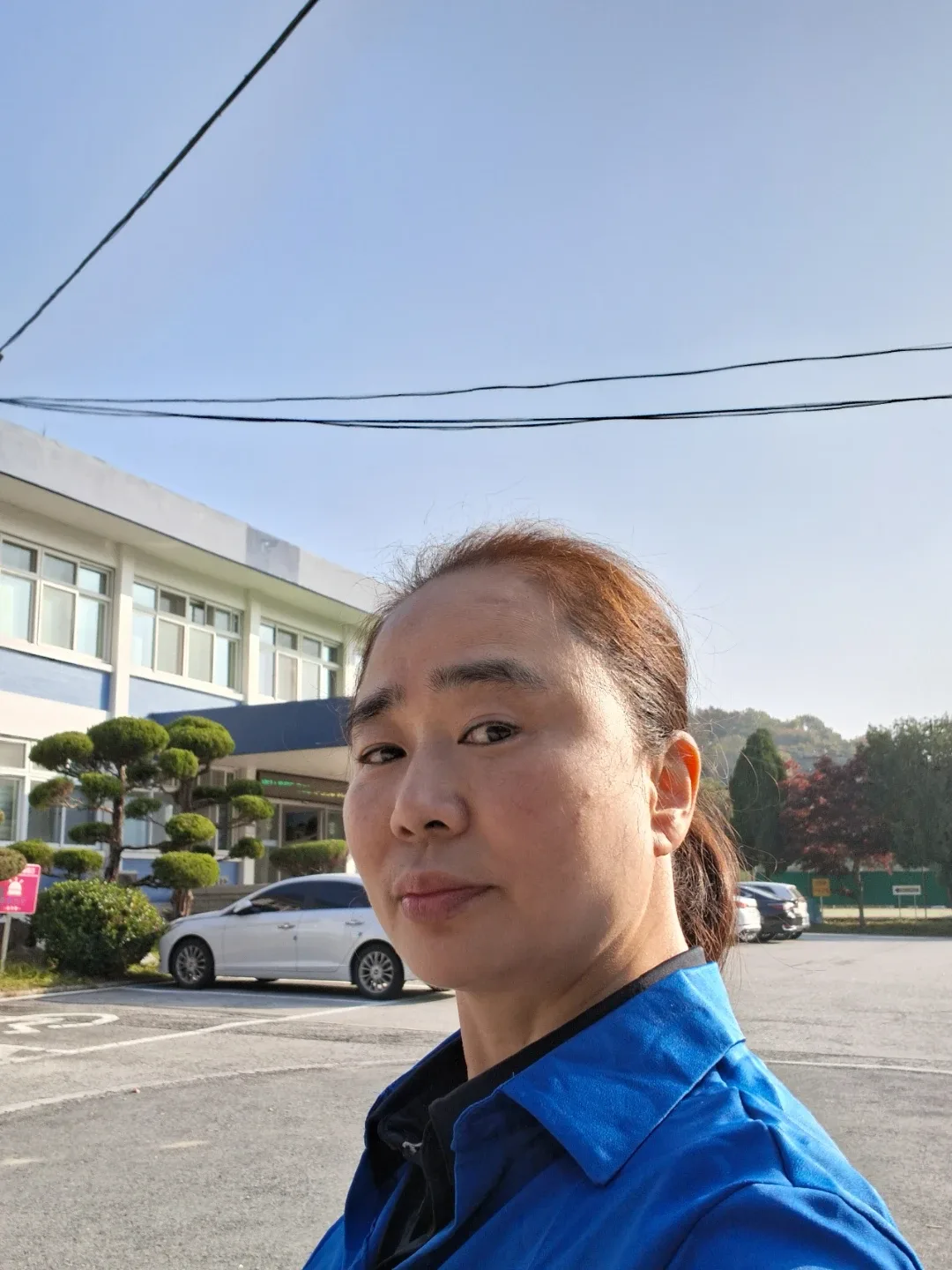 보리수