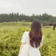 딸기귤