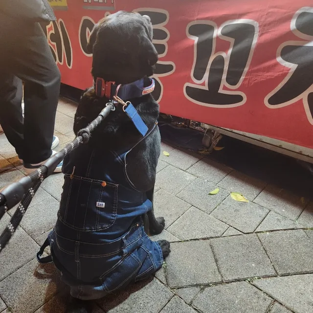 연쓰봉