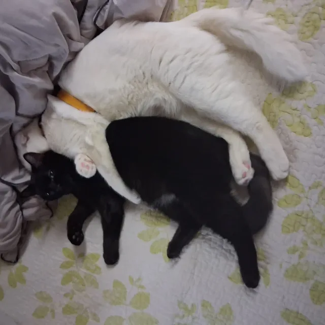 희망소망행복