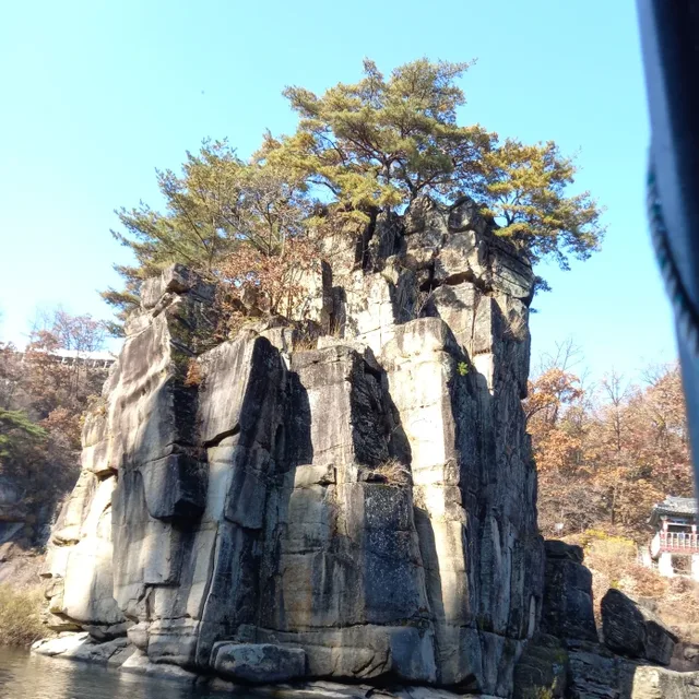 희망이