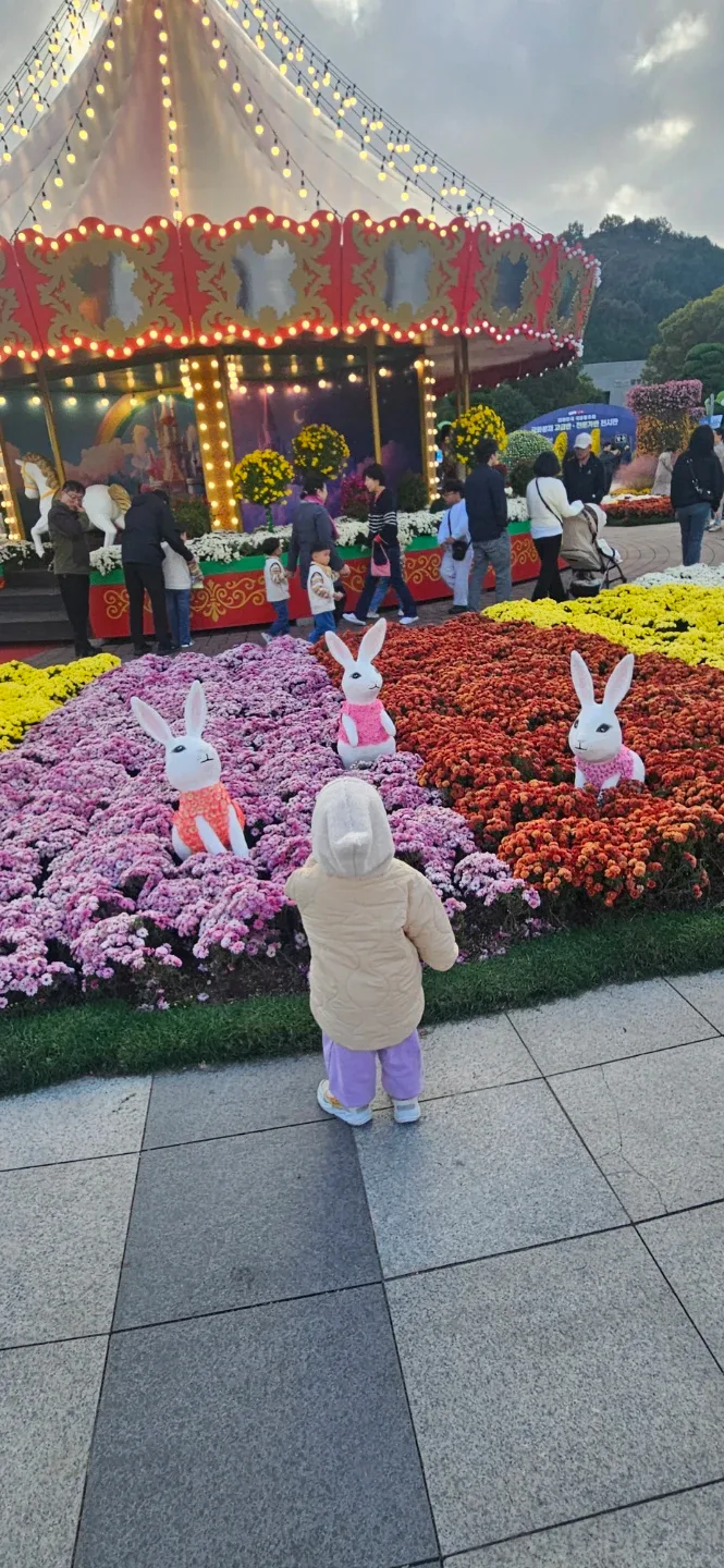 홍당무