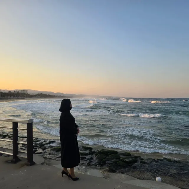 배짱