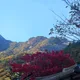 라메르
